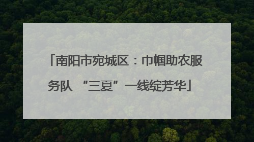 南阳市宛城区：巾帼助农服务队 “三夏”一线绽芳华