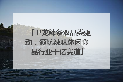 卫龙辣条双品类驱动，领航辣味休闲食品行业千亿赛道
