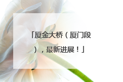 厦金大桥（厦门段），最新进展！
