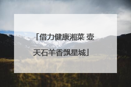 借力健康湘菜 壶天石羊香飘星城