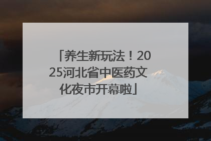 养生新玩法！2025河北省中医药文化夜市开幕啦