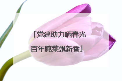 党建助力晒春光 百年腌菜飘新香