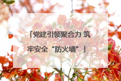 党建引领聚合力 筑牢安全“防火墙”