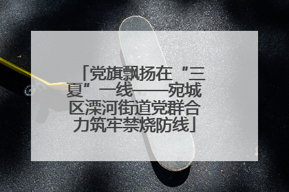 党旗飘扬在“三夏”一线——宛城区溧河街道党群合力筑牢禁烧防线