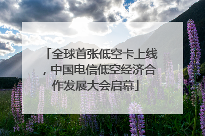 全球首张低空卡上线，中国电信低空经济合作发展大会启幕