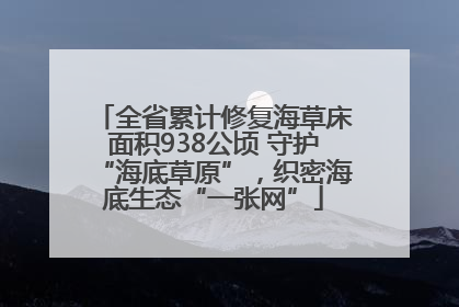 全省累计修复海草床面积938公顷 守护“海底草原”，织密海底生态“一张网”