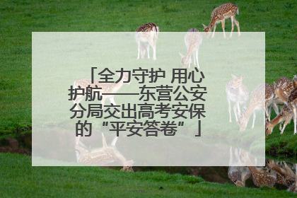 全力守护 用心护航——东营公安分局交出高考安保的“平安答卷”