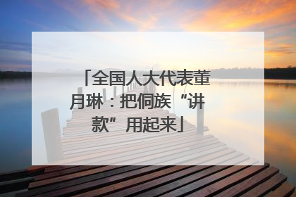 全国人大代表董月琳：把侗族“讲款”用起来
