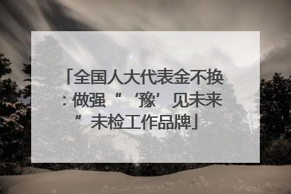 全国人大代表金不换：做强“‘豫’见未来”未检工作品牌