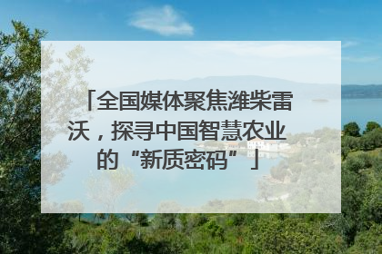 全国媒体聚焦潍柴雷沃，探寻中国智慧农业的“新质密码”
