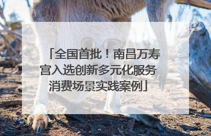 全国首批！南昌万寿宫入选创新多元化服务消费场景实践案例