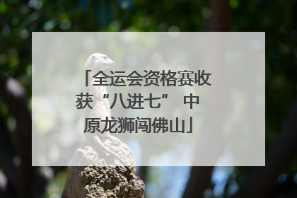 全运会资格赛收获“八进七” 中原龙狮闯佛山