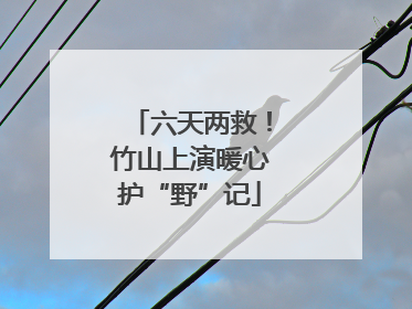 六天两救！竹山上演暖心护“野”记