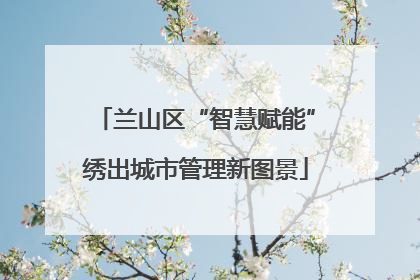 兰山区“智慧赋能”绣出城市管理新图景