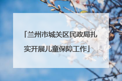 兰州市城关区民政局扎实开展儿童保障工作
