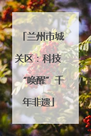 兰州市城关区：科技“唤醒”千年非遗