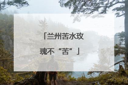 兰州苦水玫瑰不“苦”