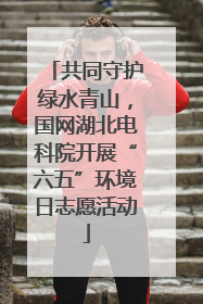 共同守护绿水青山，国网湖北电科院开展“六五”环境日志愿活动