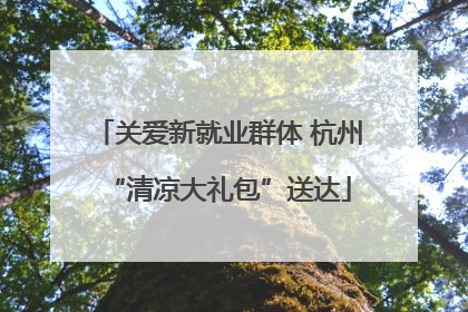 关爱新就业群体 杭州“清凉大礼包”送达
