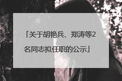 关于胡艳兵、郑涛等2名同志拟任职的公示