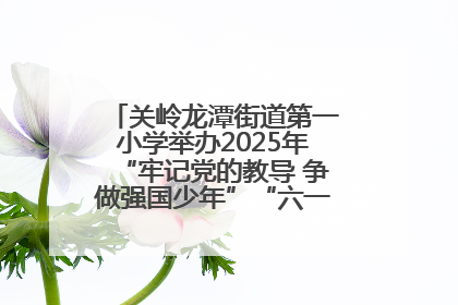 关岭龙潭街道第一小学举办2025年“牢记党的教导 争做强国少年”“六一”文艺汇演活动