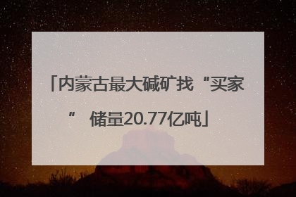 内蒙古最大碱矿找“买家” 储量20.77亿吨