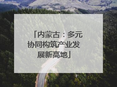 内蒙古：多元协同构筑产业发展新高地