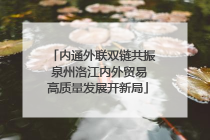 内通外联双链共振 泉州洛江内外贸易高质量发展开新局
