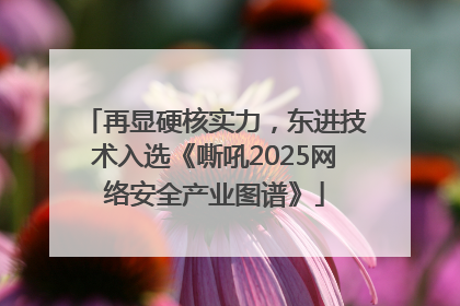 再显硬核实力，东进技术入选《嘶吼2025网络安全产业图谱》