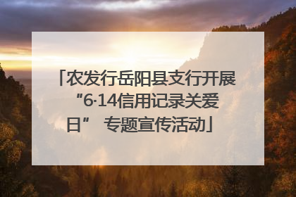 农发行岳阳县支行开展“6·14信用记录关爱日” 专题宣传活动