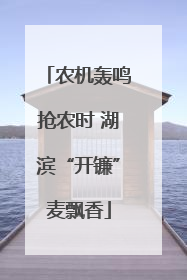 农机轰鸣抢农时 湖滨“开镰”麦飘香