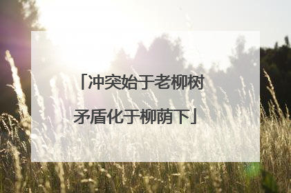 冲突始于老柳树 矛盾化于柳荫下