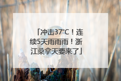 冲击37℃！连续5天雨雨雨！浙江桑拿天要来了