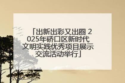 出新出彩又出圈 2025年硚口区新时代文明实践优秀项目展示交流活动举行