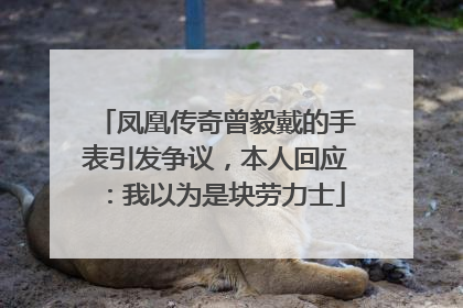 凤凰传奇曾毅戴的手表引发争议，本人回应：我以为是块劳力士