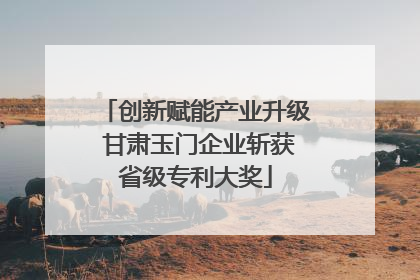 创新赋能产业升级 甘肃玉门企业斩获省级专利大奖