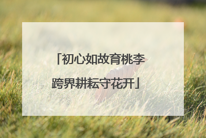 初心如故育桃李 跨界耕耘守花开