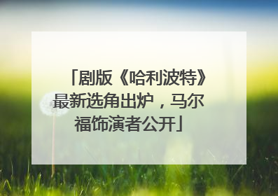 剧版《哈利波特》最新选角出炉，马尔福饰演者公开