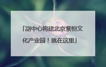 副中心将建北京紫檀文化产业园！就在这里