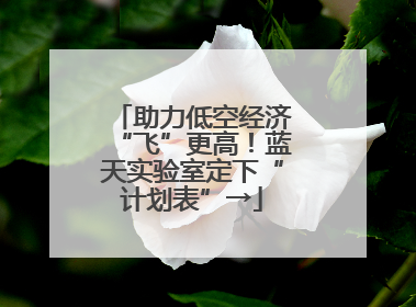 助力低空经济“飞”更高！蓝天实验室定下“计划表”→