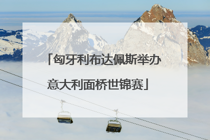 匈牙利布达佩斯举办意大利面桥世锦赛
