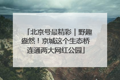 北京号最精彩｜野趣盎然！京城这个生态桥连通两大网红公园