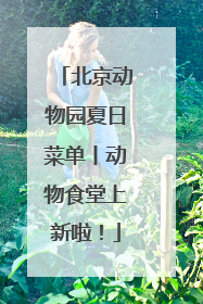 北京动物园夏日菜单丨动物食堂上新啦！