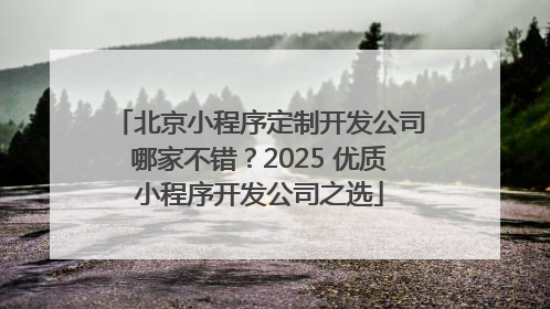 北京小程序定制开发公司哪家不错？2025 优质小程序开发公司之选