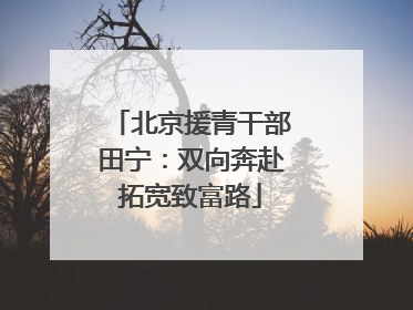 北京援青干部田宁：双向奔赴拓宽致富路