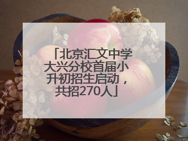 北京汇文中学大兴分校首届小升初招生启动，共招270人