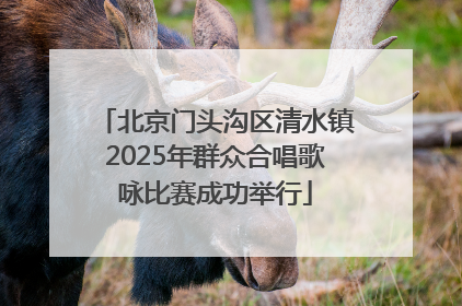 北京门头沟区清水镇2025年群众合唱歌咏比赛成功举行