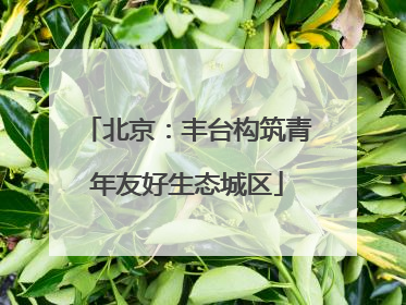 北京：丰台构筑青年友好生态城区