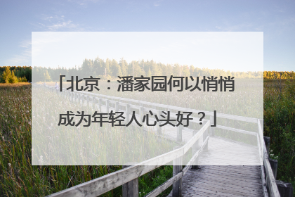 北京：潘家园何以悄悄成为年轻人心头好？