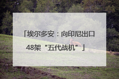埃尔多安：向印尼出口48架“五代战机”